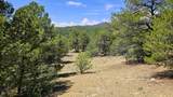 29780 Co Rd 16 - Photo 10