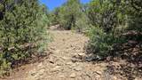 29780 Co Rd 16 - Photo 11