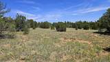 29780 Co Rd 16 - Photo 14