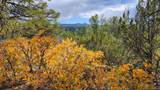29780 Co Rd 16 - Photo 15