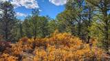 29780 Co Rd 16 - Photo 16