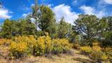 29780 Co Rd 16 - Photo 17