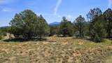 29780 Co Rd 16 - Photo 2