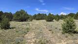 29780 Co Rd 16 - Photo 3