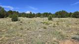 29780 Co Rd 16 - Photo 4