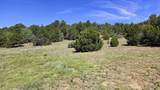 29780 Co Rd 16 - Photo 5