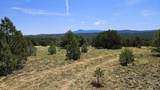 29780 Co Rd 16 - Photo 6