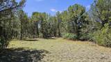 29780 Co Rd 16 - Photo 7