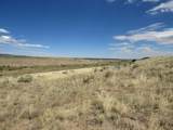 TBD County Road 614.1 - Photo 14