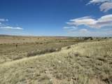 TBD County Road 614.1 - Photo 15