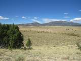 TBD County Road 614.1 - Photo 18