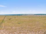 TBD County Road 113 - Photo 5
