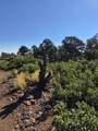Tract 122 Ponderosa Hills - Photo 12