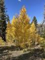  Cuchara Pass Ranches - Photo 31