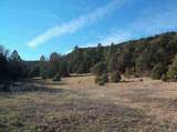 33280 Gallinas Pkwy - Photo 13