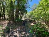 33280 Gallinas Pkwy - Photo 19