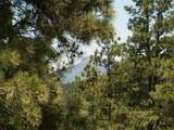 33280 Gallinas Pkwy - Photo 2