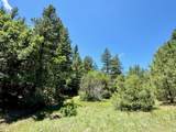 33280 Gallinas Pkwy - Photo 24