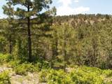 33280 Gallinas Pkwy - Photo 8