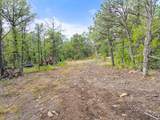 TBD Wapiti Drive - Photo 17
