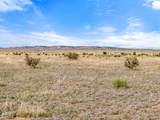 TBD Turkey Ridge - Photo 15