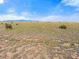 TBD Turkey Ridge - Photo 16