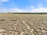 TBD Turkey Ridge - Photo 19