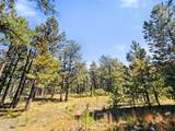 TBD Left Hand Fork Rd - Photo 10