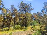 TBD Left Hand Fork Rd - Photo 11