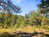 TBD Left Hand Fork Rd - Photo 12
