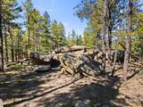 TBD Left Hand Fork Rd - Photo 13