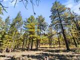 TBD Left Hand Fork Rd - Photo 18