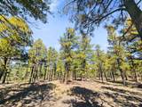 TBD Left Hand Fork Rd - Photo 19