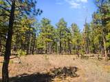 TBD Left Hand Fork Rd - Photo 2