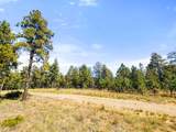 TBD Left Hand Fork Rd - Photo 20