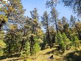 TBD Left Hand Fork Rd - Photo 23
