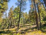 TBD Left Hand Fork Rd - Photo 24