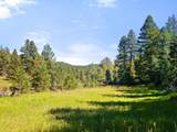 TBD Left Hand Fork Rd - Photo 27