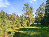 TBD Left Hand Fork Rd - Photo 29