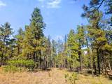TBD Left Hand Fork Rd - Photo 5