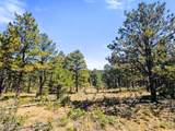 TBD Left Hand Fork Rd - Photo 6