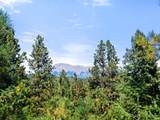 TBD Left Hand Fork Rd - Photo 8