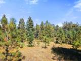 TBD Left Hand Fork Rd - Photo 9