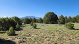 60 Colorado Land & Grazing - Photo 14