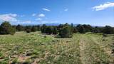 60 Colorado Land & Grazing - Photo 16