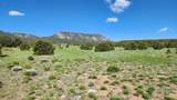 60 Colorado Land & Grazing - Photo 17