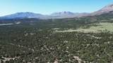 60 Colorado Land & Grazing - Photo 19