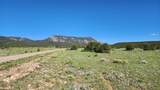 60 Colorado Land & Grazing - Photo 20