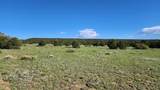 60 Colorado Land & Grazing - Photo 21
