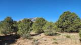 60 Colorado Land & Grazing - Photo 26